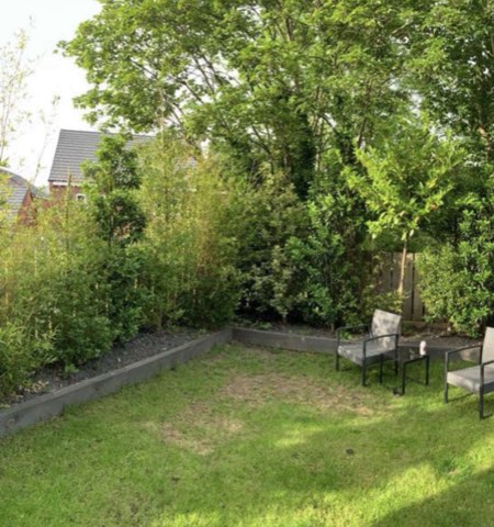 Garden transformation